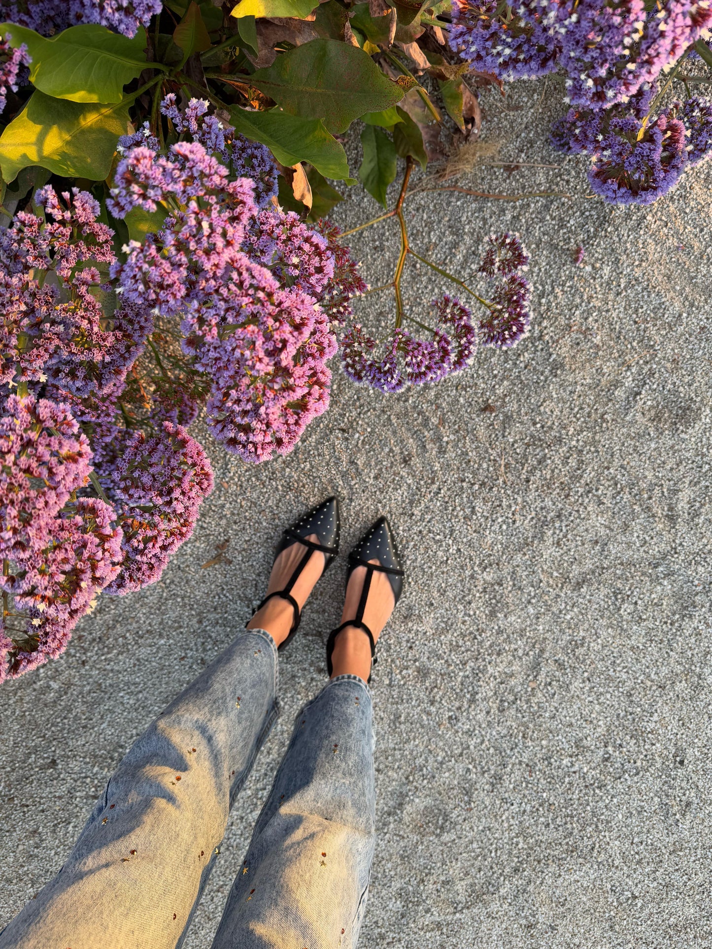 Ballerina Milán Negro